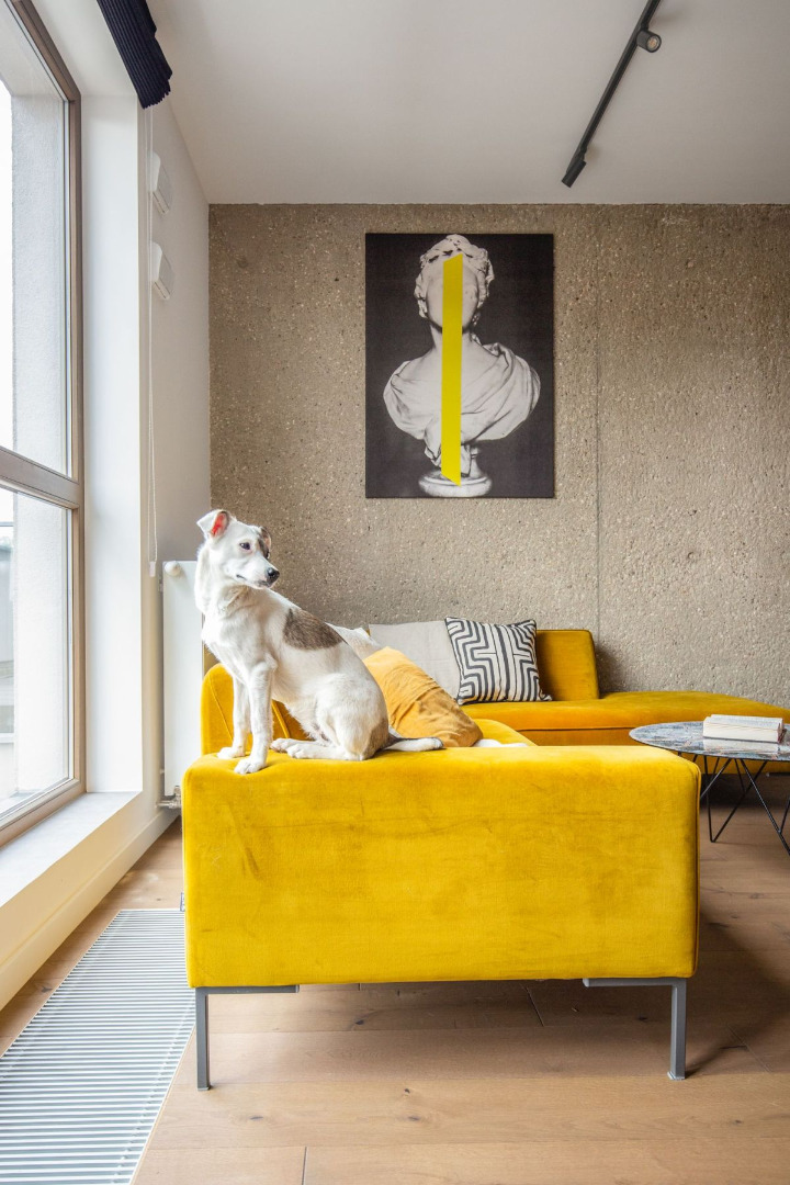 Apartament