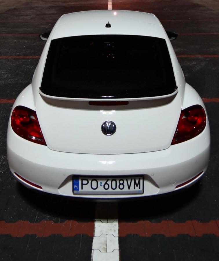 Volkswagen beetle