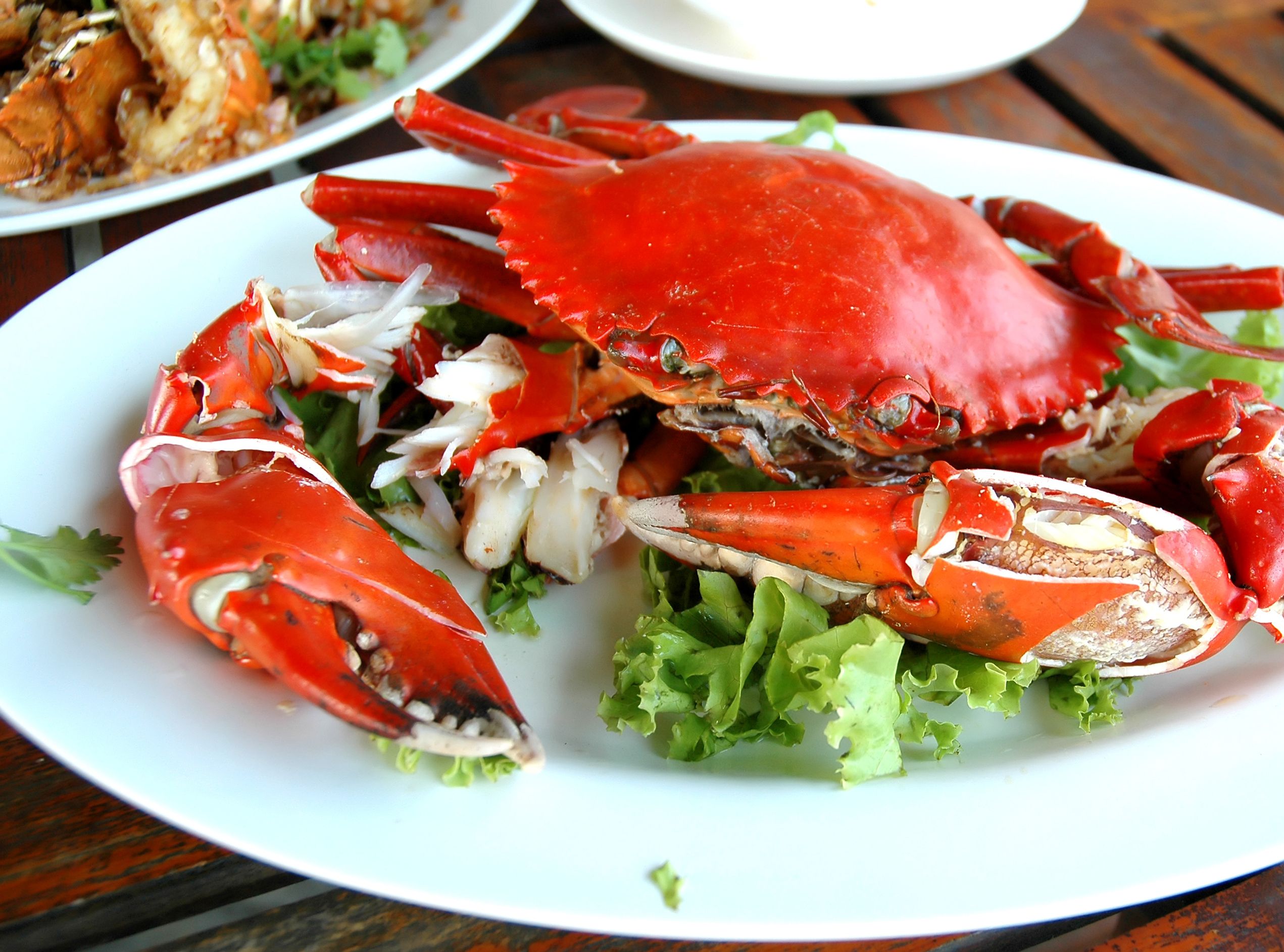 dieta śródziemnomorska - krab na talerzu