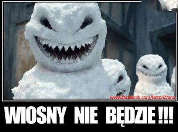 Internet przegania zimę dowcipem