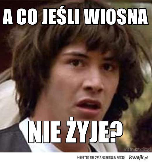 Internet przegania zimę dowcipem