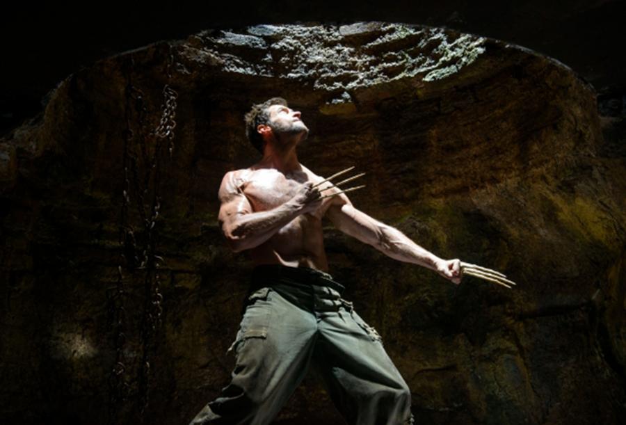 "Wolverine"